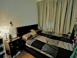 Eight Riversuites (D12), Condominium #558338851